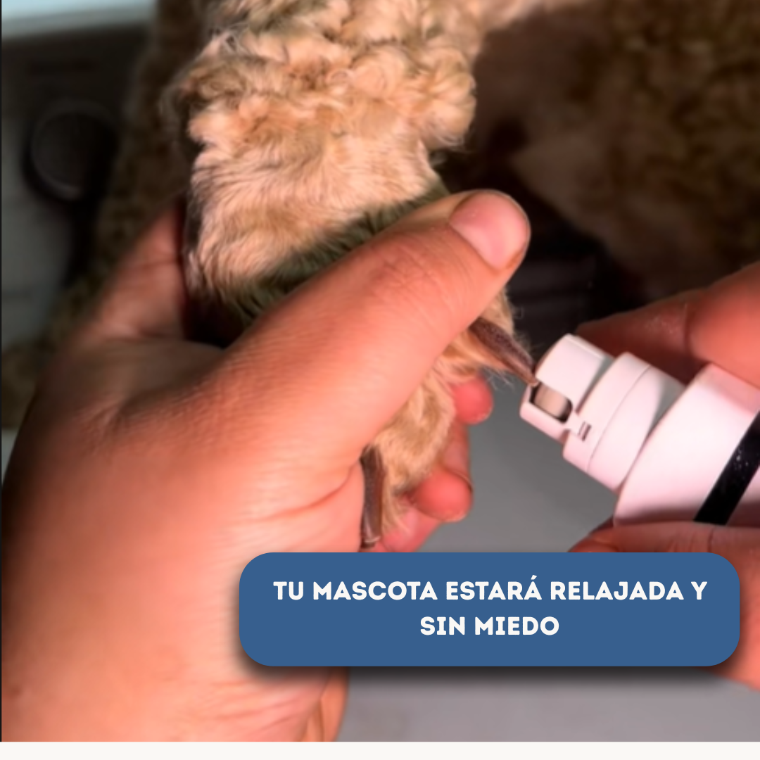 SilentCare Pro™